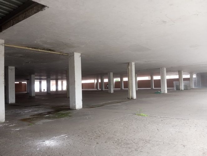 Bodega en arriendo en Flora Industrial, Cali · foto 23 de 24