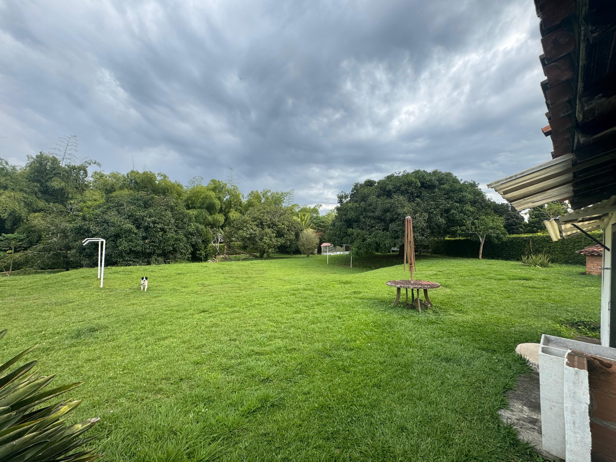 Casa en venta en Cerritos, Pereira · foto 8 de 12