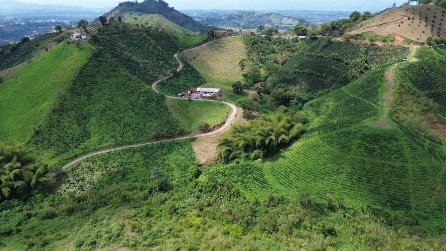 Lote en venta en Ciudad Boquia I, Pereira, 1744 m² · foto 5 de 13