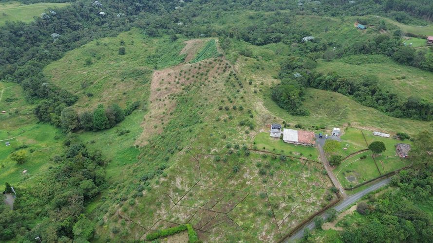 Finca en venta en Tribunas Corcega, Pereira, 300 m² · foto 2 de 24