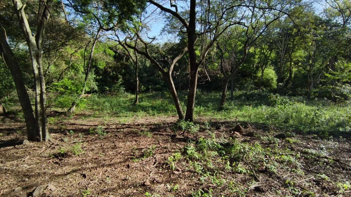 Vendo terreno de 3810m2 en Luque Tarumandy — foto 2