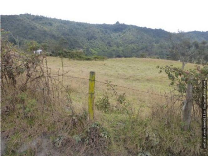 Lote en venta en El Hato, La Calera, 10026 m² · foto 3 de 8