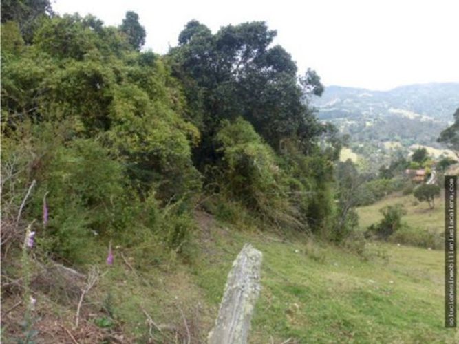 Lote en venta en El Hato, La Calera, 10026 m² · foto 7 de 8