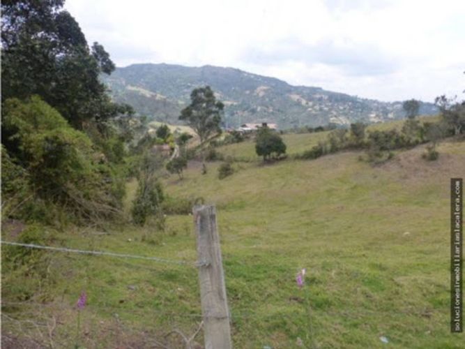 Lote en venta en El Hato, La Calera, 16000 m² · foto 2 de 7