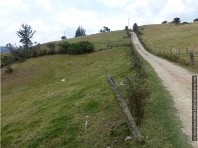 Lote en venta en El Hato, La Calera, 16000 m² · foto 3 de 7
