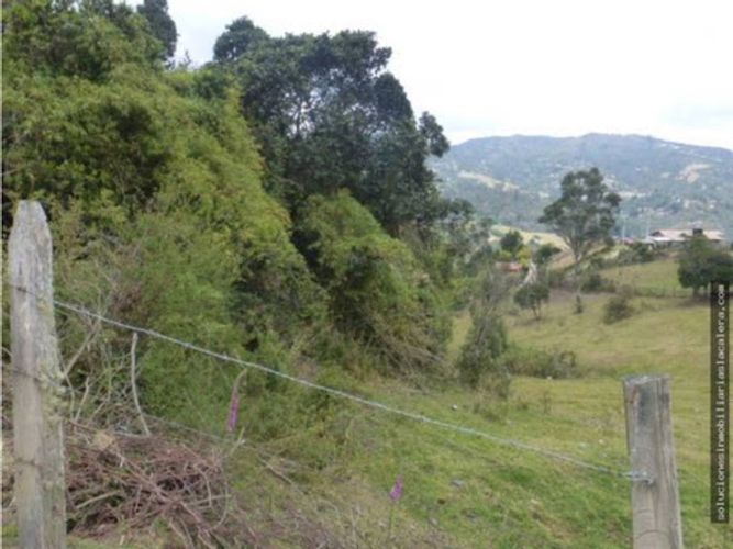 Lote en venta en El Hato, La Calera, 16000 m² · foto 5 de 7
