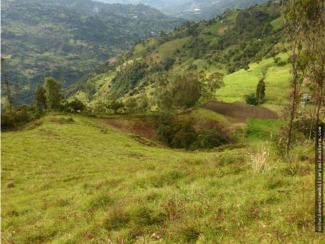 Lote en venta en La Calera, 16072 m² · foto 3 de 13