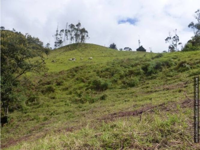 Lote en venta en La Calera, 16072 m² · foto 6 de 13