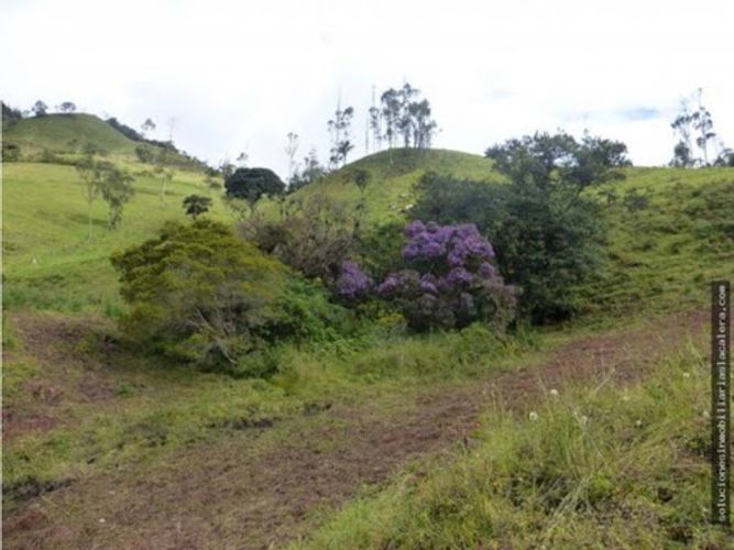 Lote en venta en La Calera, 16072 m² · foto 10 de 13