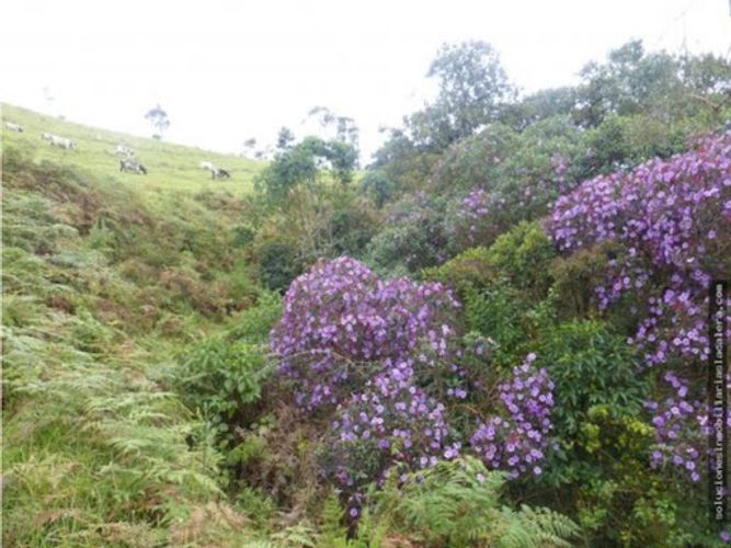 Lote en venta en La Calera, 16072 m² · foto 11 de 13