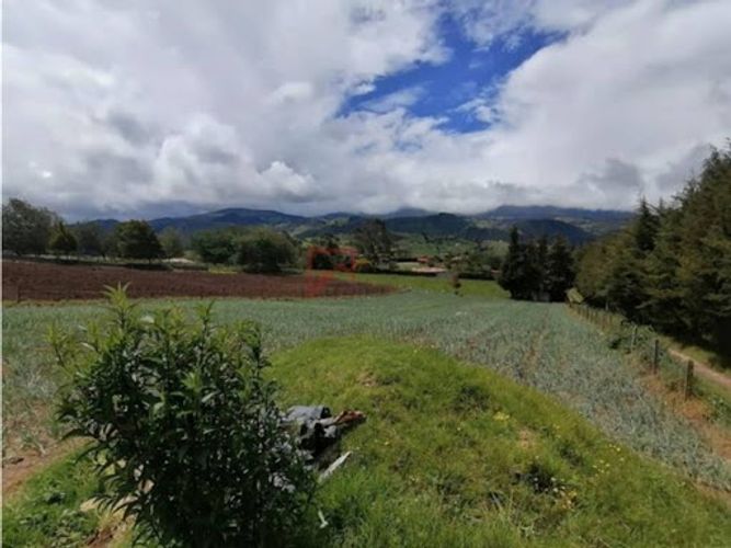 Lote en venta en Alto De La Virgen, La Calera, 3610 m² · foto 6 de 9