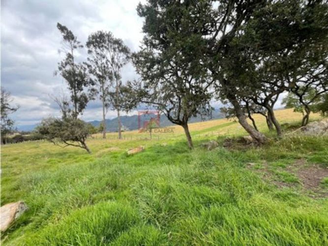 Lote en venta en Centro, La Calera, 2996 m² · foto 11 de 11