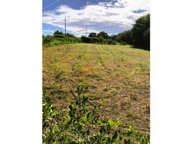 Lote en venta en Las Varas, Ricaurte, 1000 m² · foto 2 de 13