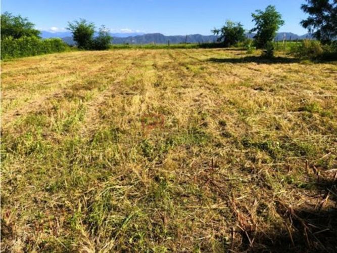 Lote en venta en Las Varas, Ricaurte, 1000 m² · foto 3 de 13