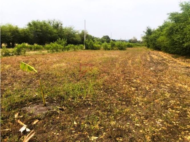 Lote en venta en Las Varas, Ricaurte, 1000 m² · foto 4 de 13