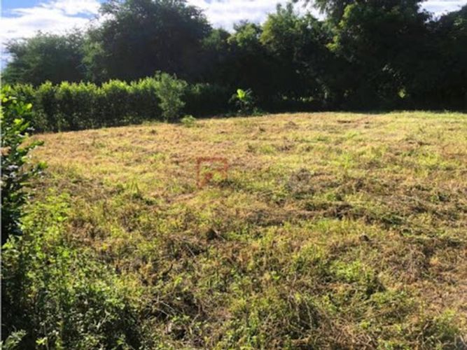 Lote en venta en Las Varas, Ricaurte, 1000 m² · foto 5 de 13