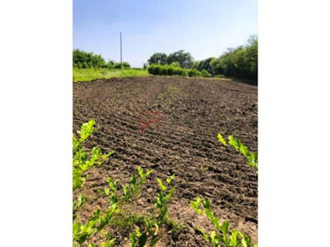 Lote en venta en Las Varas, Ricaurte, 1000 m² · foto 6 de 13