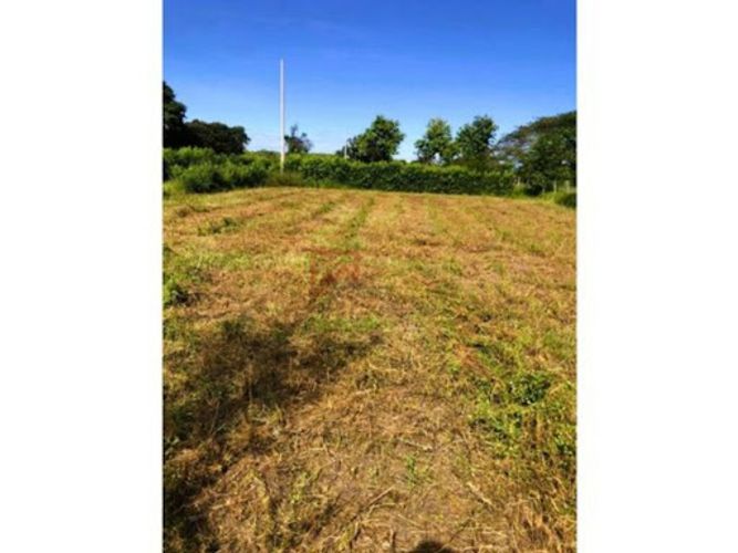 Lote en venta en Las Varas, Ricaurte, 1000 m² · foto 7 de 13