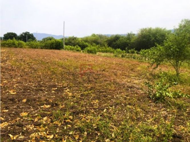 Lote en venta en Las Varas, Ricaurte, 1000 m² · foto 8 de 13