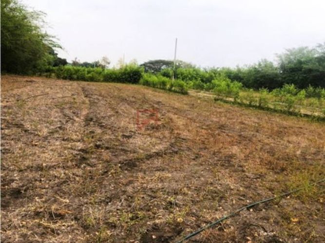 Lote en venta en Las Varas, Ricaurte, 1000 m² · foto 9 de 13