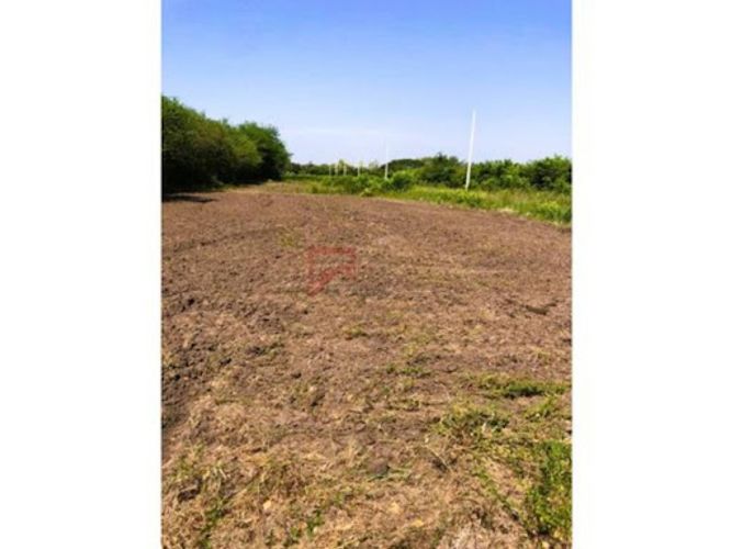 Lote en venta en Las Varas, Ricaurte, 1000 m² · foto 12 de 13