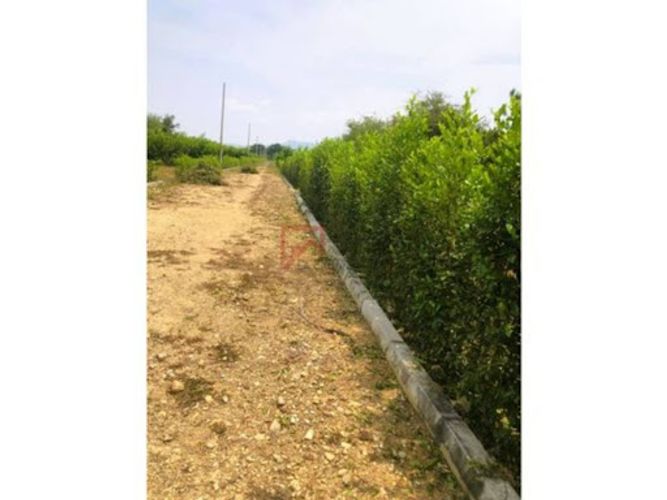 Lote en venta en Las Varas, Ricaurte, 1000 m² · foto 13 de 13
