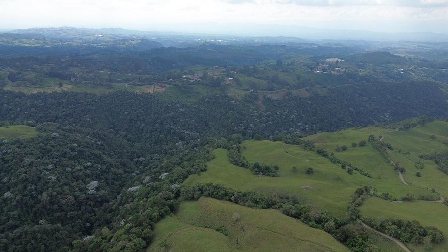 Finca en venta en Tribunas Corcega, Pereira, 250 m² · foto 3 de 24