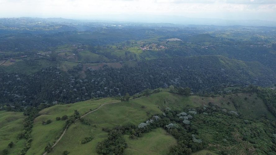 Finca en venta en Tribunas Corcega, Pereira, 250 m² · foto 4 de 24