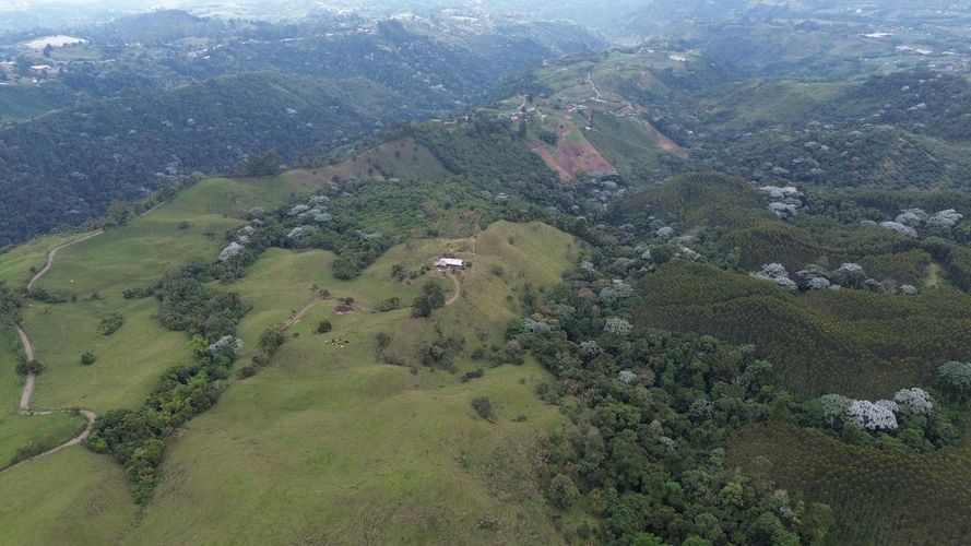 Finca en venta en Tribunas Corcega, Pereira, 250 m² · foto 17 de 24