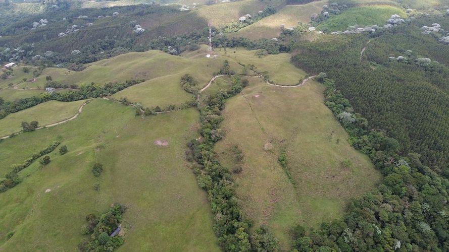 Finca en venta en Tribunas Corcega, Pereira, 250 m² · foto 5 de 24