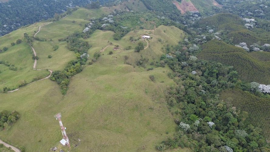 Finca en venta en Tribunas Corcega, Pereira, 250 m² · foto 18 de 24
