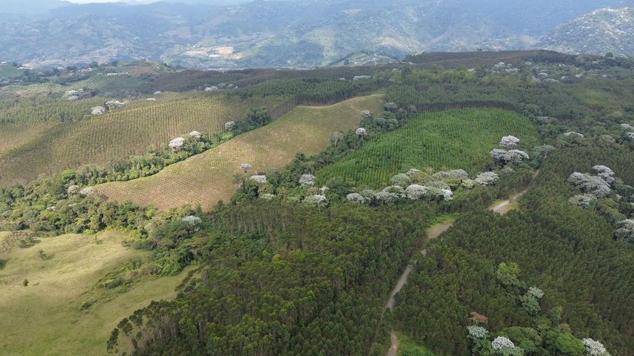 Finca en venta en Tribunas Corcega, Pereira, 250 m² · foto 8 de 24