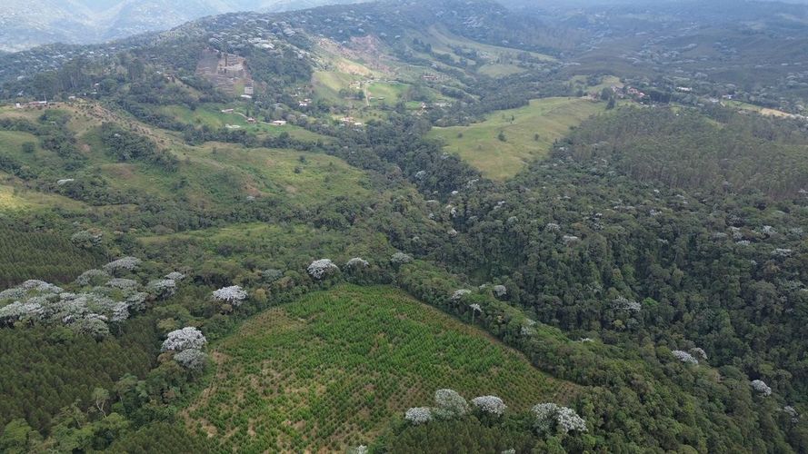 Finca en venta en Tribunas Corcega, Pereira, 250 m² · foto 6 de 24