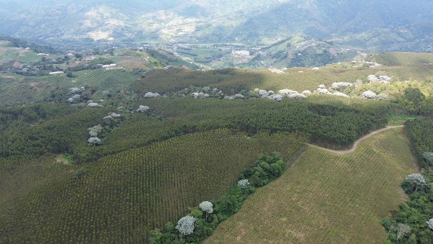 Finca en venta en Tribunas Corcega, Pereira, 250 m² · foto 9 de 24