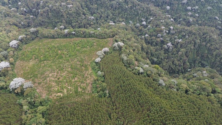 Finca en venta en Tribunas Corcega, Pereira, 250 m² · foto 24 de 24