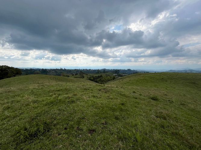 Finca en venta en Tribunas Corcega, Pereira, 250 m² · foto 12 de 24