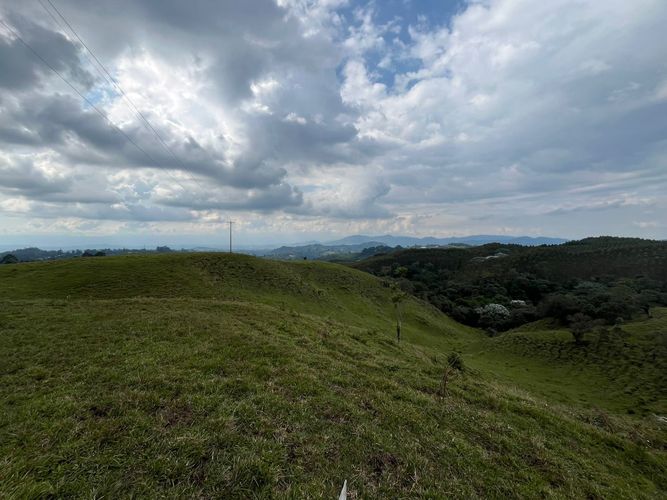 Finca en venta en Tribunas Corcega, Pereira, 250 m² · foto 19 de 24