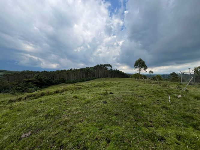 Finca en venta en Tribunas Corcega, Pereira, 250 m² · foto 11 de 24