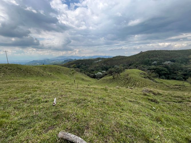 Finca en venta en Tribunas Corcega, Pereira, 250 m² · foto 22 de 24