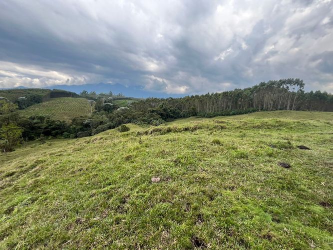 Finca en venta en Tribunas Corcega, Pereira, 250 m² · foto 23 de 24