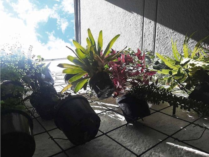 Apartamento en venta en Laureles, Medellín · foto 20 de 24