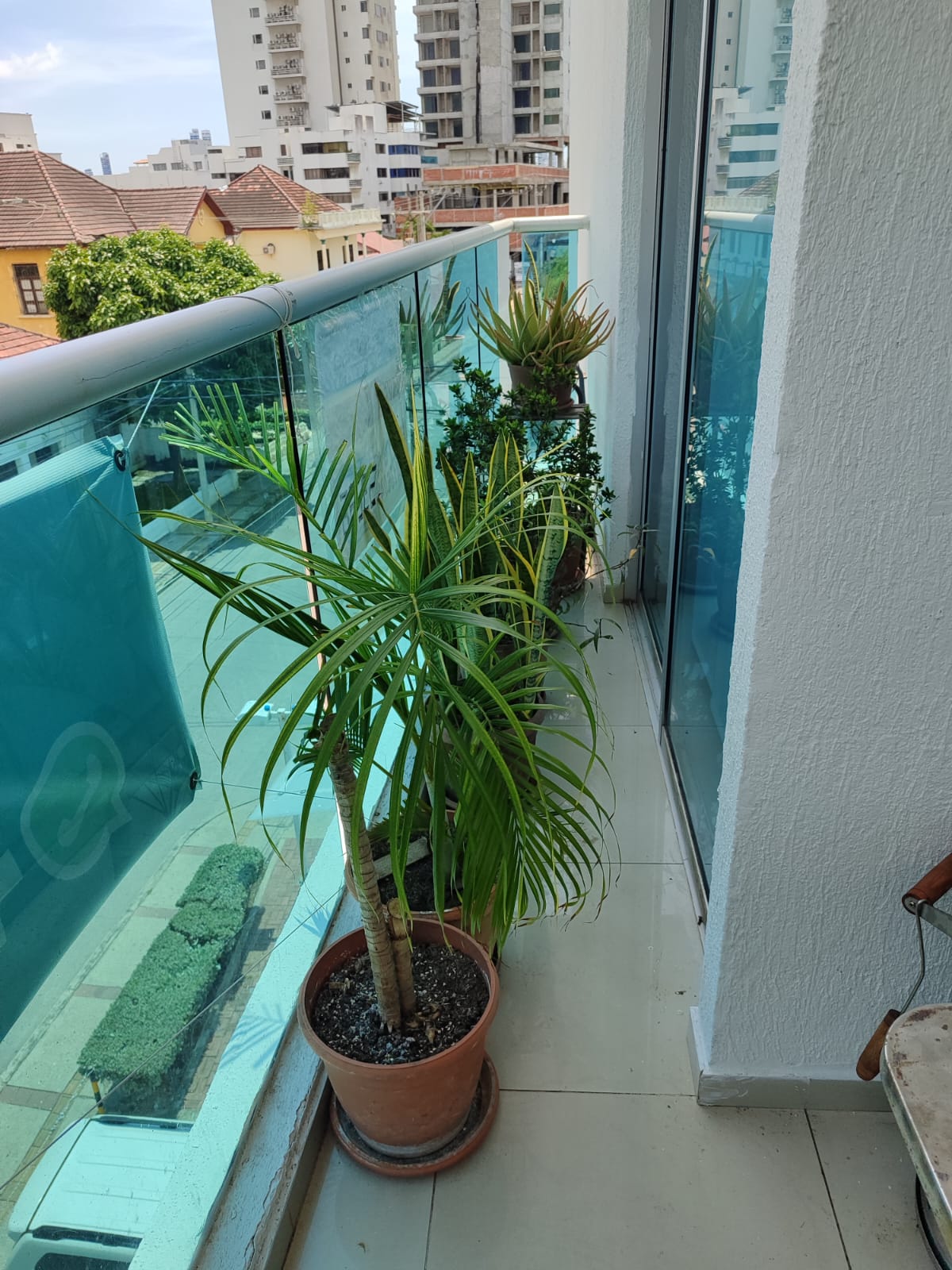 Apartamento en venta en Manga, Cartagena · foto 3 de 21
