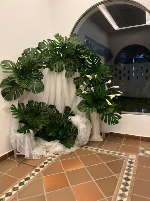 Casa en venta en El Prado, Barranquilla, 888 m² · foto 6 de 13