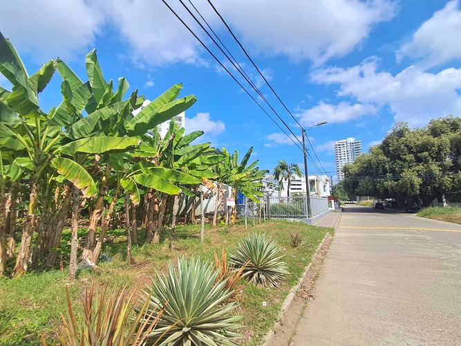 Lote en venta en El Recreo, Montería, 400 m² · foto 7 de 12