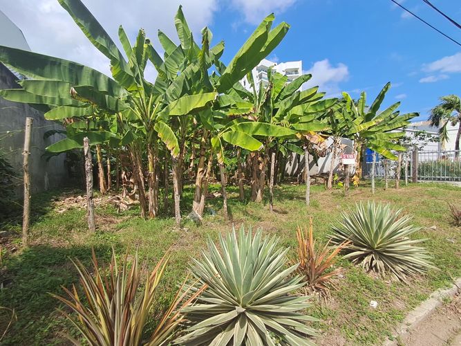 Lote en venta en El Recreo, Montería, 400 m² · foto 10 de 12