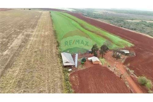 AMPLIO TERRENO  PARA CULTIVO EN SANTA RITA EN VENTA (900.000 m2) — foto 3
