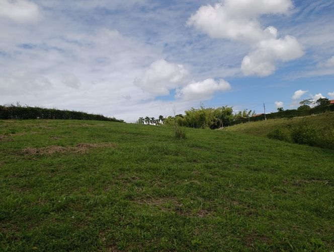 Lote en venta en Cerritos, Pereira, 2914 m² · foto 5 de 7