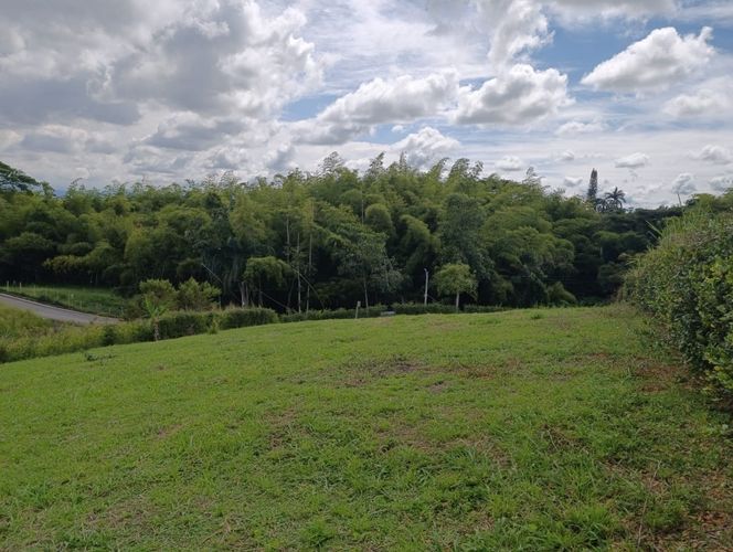 Lote en venta en Cerritos, Pereira, 2914 m² · foto 6 de 7