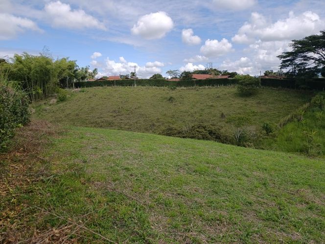 Lote en venta en Cerritos, Pereira, 2914 m² · foto 4 de 7
