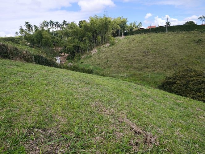 Lote en venta en Cerritos, Pereira, 2914 m² · foto 3 de 7